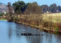 三河洣水风光