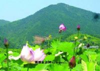隐山