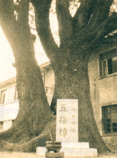 衡阳船山书院