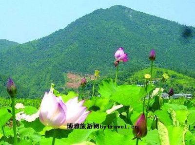 隐山