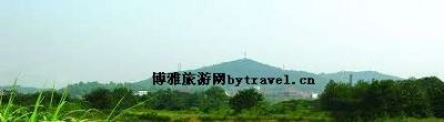 金霞山