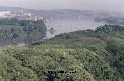 江口鸟洲