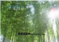 桂东南华青青竹林