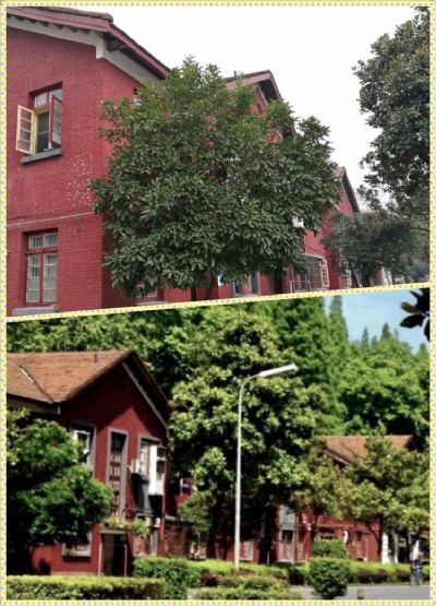 建设一、二村苏联式建筑群
