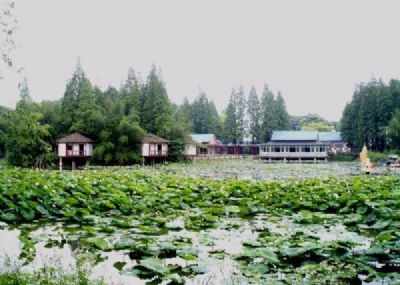 津市澹津公园