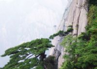 掷钵峰