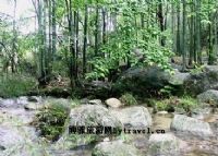 杨江源景区