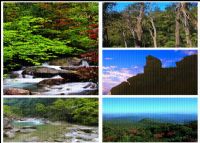 九龙江国家森林公园