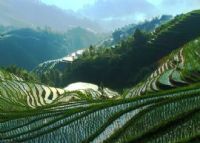 元明坳