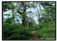 湘桂古道永州段