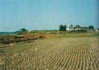 磨山遗址