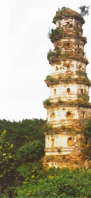花瓦塔