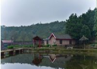 杨家寨生态山庄