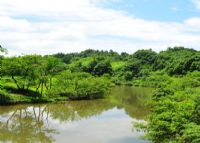 新邵筱溪国家湿地公园