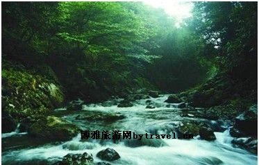 桃花谷