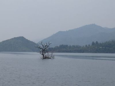茶陵东阳湖国家湿地公园