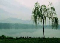 东洲岛