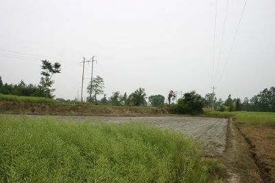 孙家岗遗址