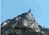 嘉禾龟山