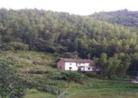龙溪南岸段家垅