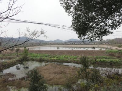 新洲古城遗址