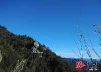 十都瓜寮“婆婆仙”