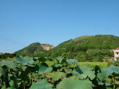 探山