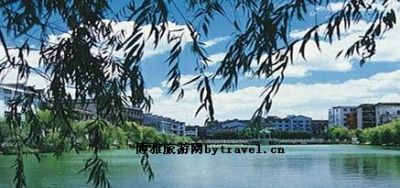 蔡子池