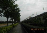 湛江市少林学校