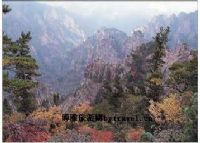 龙抱山自然风景区