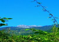 崇州鸡冠山