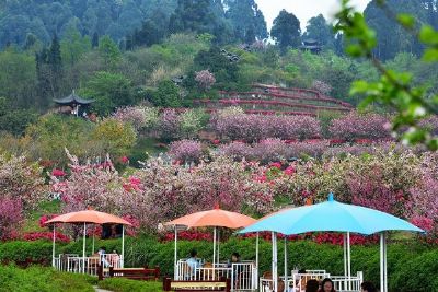 花舞人间景区