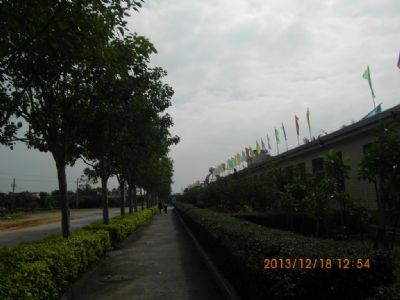 湛江市少林学校