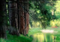 三岭山国家森林公园