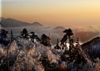 铁坪山景区