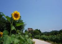 太山研学旅行基地