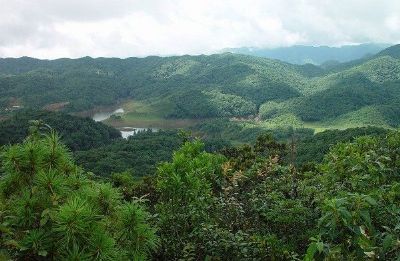 哀牢山自然保护区