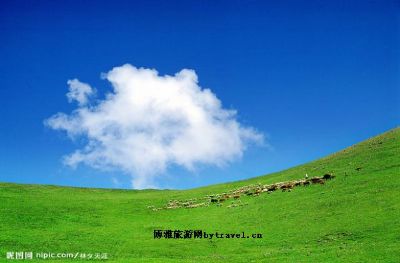 大海草山