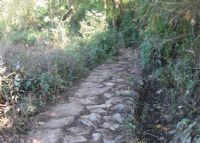 蒙蛮古道