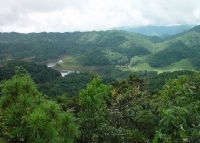 哀牢山自然保护区