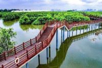 水东湾海洋公园