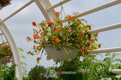 冼夫人六代孙夫妇墓