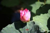 小良水土保持生态景观风景区