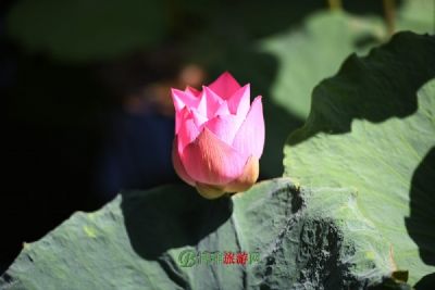 小良水土保持生态景观风景区