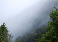 菠萝山森林公园