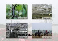 天津津南农业科技园