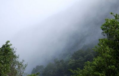 菠萝山森林公园