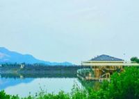 南方梅园生态村