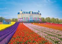 番禺百万葵园主题公园