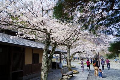 会昌(赣州)岚山公园